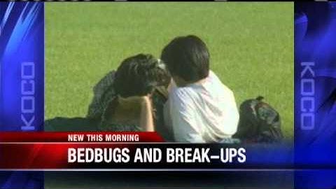 Bed Bugs Blamed For Break-Ups