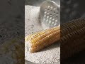 Salt Roasted Corn 🌽#shorts#youtubeshorts # (Makai)&amp; Chickpeas (Chanay) Recipe