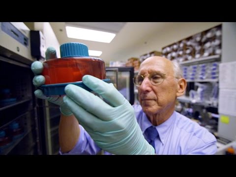 Video: Čo spôsobuje leukostóm v marhuliach: Ako liečiť príznaky rakoviny marhuľového leukostómu