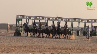 حفل افتتاح سباقات موسم ١٤٣٦ هـ في ميدان الفروسية بمحافظة حفرالباطن