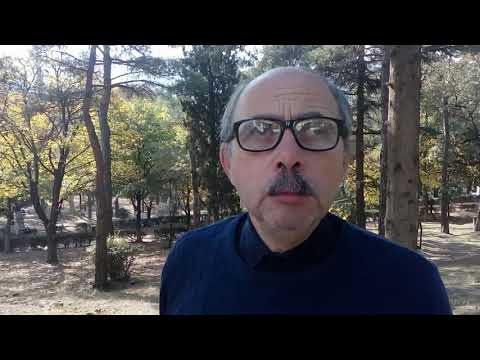 ღირებულებითი და კონიუქტურული ევროპეიზმი