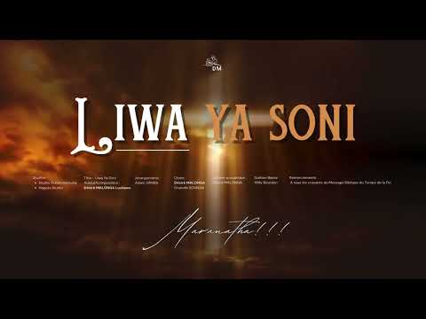 LIWA YA SONI