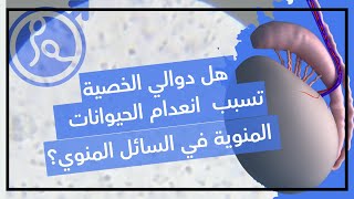 دوالي الخصية - و أنعدام الحيوانات المنوية ف السائل المنوي !