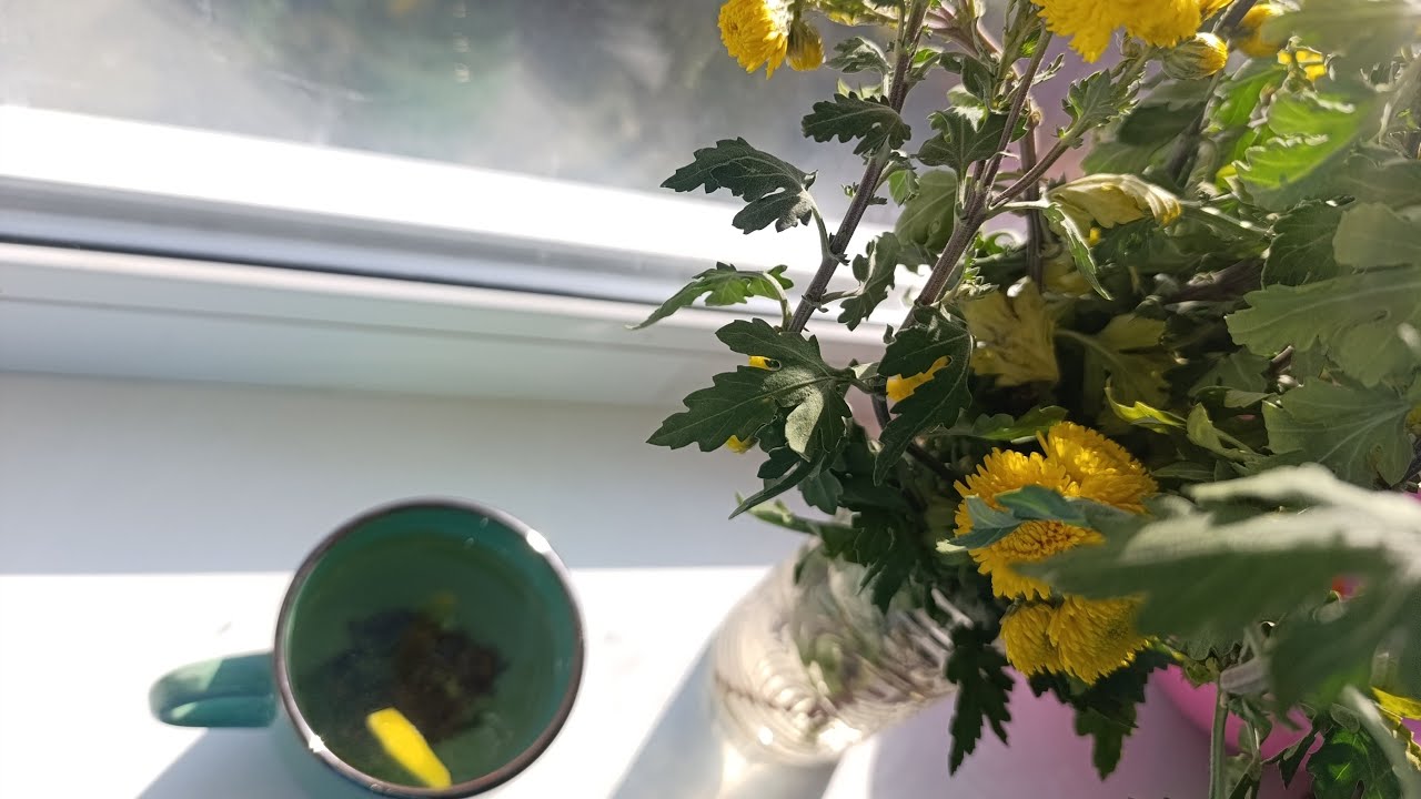 ПРИЯТНОЕ ЧАЕПИТИЕ.  5457💐0825💐1880💐6109