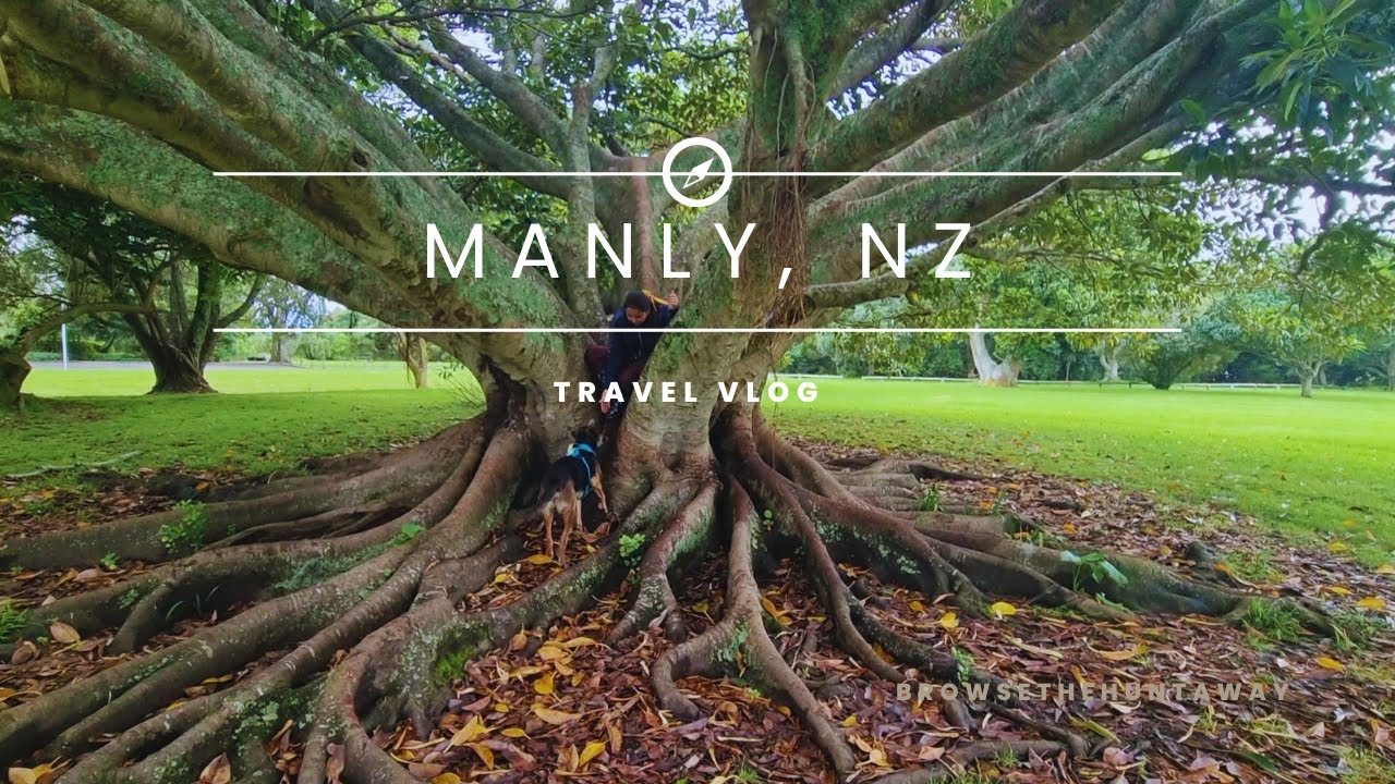 Manly Getaway | Browse the New Zealand Huntaway | Senior Dog Travels