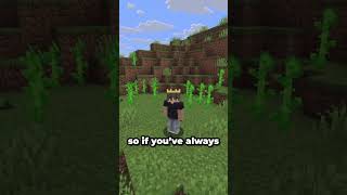 The Best Upcoming Scripted SMP..?