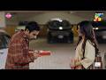 Pyaar Ki Shuruwat...! #mawrahocane #khushhalkhan - Winter Love - HUM TV