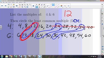 2.4 Multiples of Whole Numbers