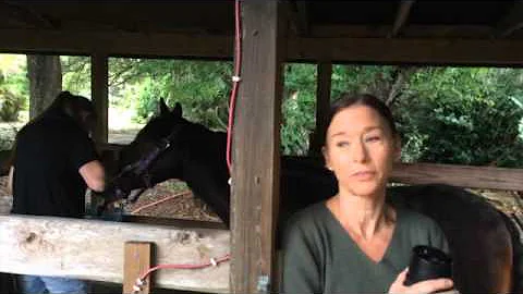 Geoff Tucker, DVM and Horsemanship Dentistry Testi...