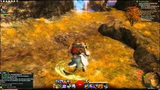 Guild Wars 2 Stress Test - Gameplay 1