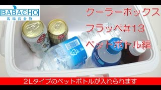 可愛いクーラーボックス！フラッペ#13！小型なのにペットボトルがこんなに保冷できます