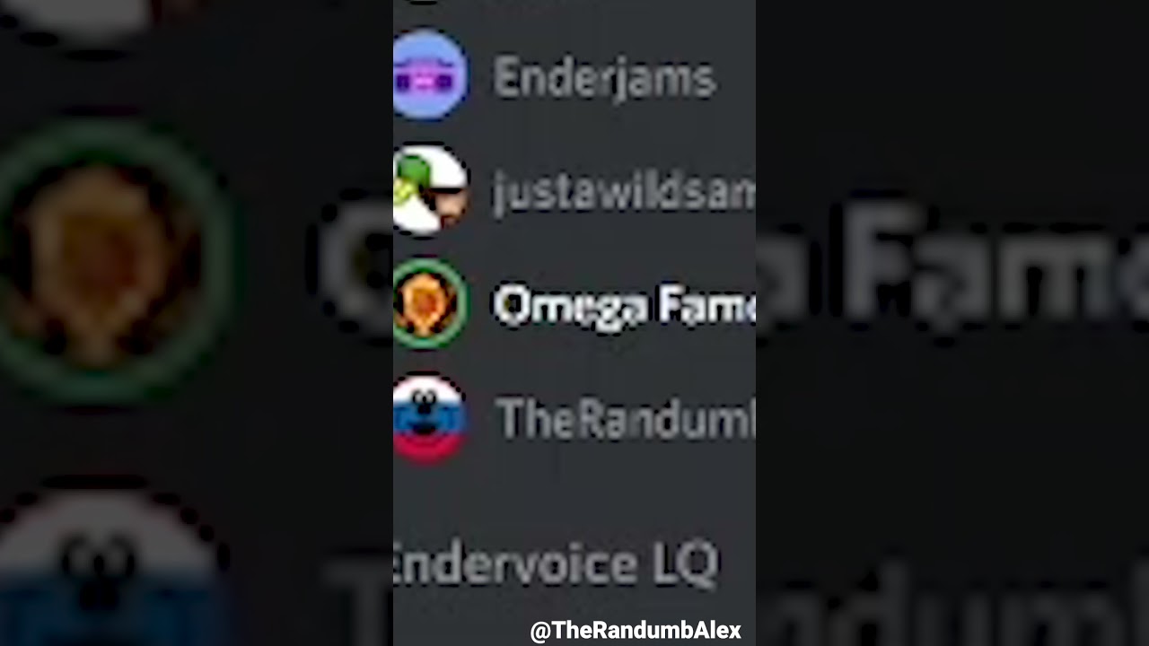 THE FUNNIEST DISCORD ROAST