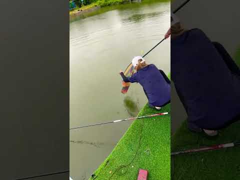 Khi báo thủ vợt cá trời mưa!!!
