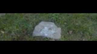 Silver Fulminate