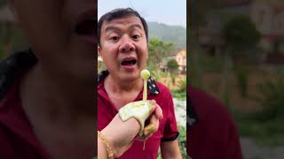 Gia đình vui vẻ, cùng bí mật từ chái dưa hấu ớt cay bí ẩn...