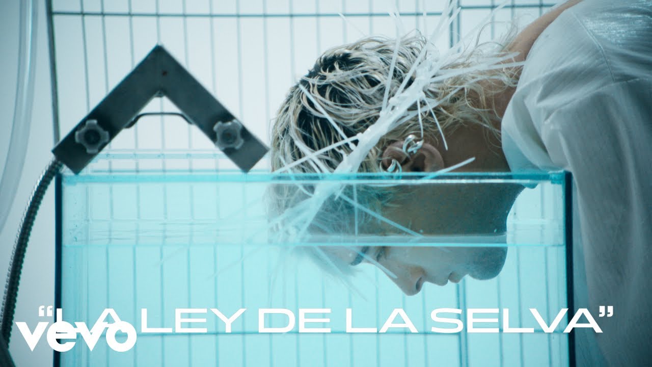 Guarda Benito Cerati, Dante Bruni - La Ley de la Selva (Official Video) su YouTube Guarda Benito Cerati, Dante Bruni - La Ley de la Selva (Official Video) su YouTube