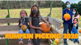 Pumpkin Picking 2020  | AshleyeVlogs
