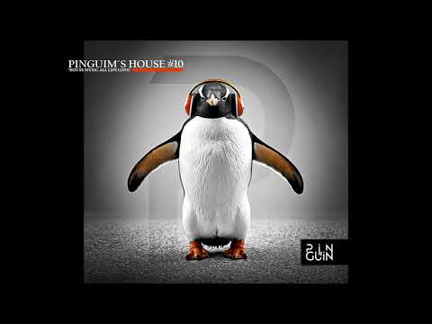 Pinguim´s House 10