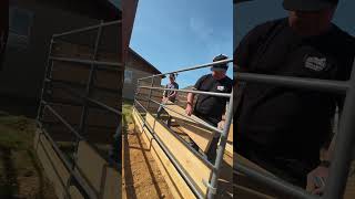 How To Attach Wood to Pipe Corral Panels