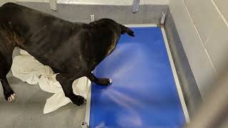 acs A654734