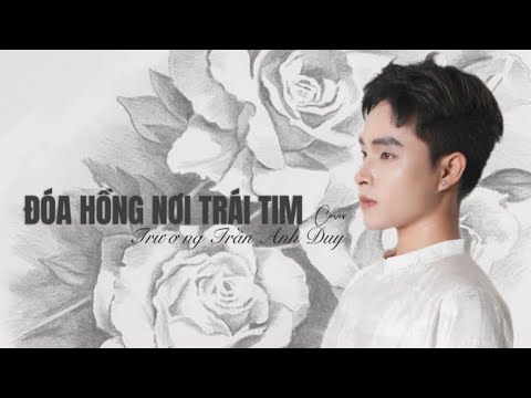 Trương Trần Anh Duy - Đoá Hồng Nơi Trái Tim (Cover) | Đại Lễ Vu Lan 2024