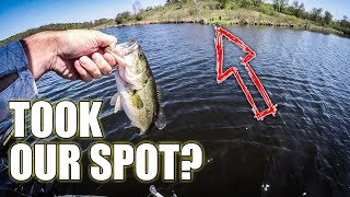 Jerkbait fishing in TOUGH CONDITIONS! (They took OUR spot!?)