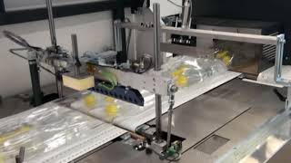 Hugo Beck - Shrink wrapping of oil bottles in double packs