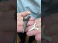 What does a paleontologist have in his collection? A goblin shark tooth  #fossils