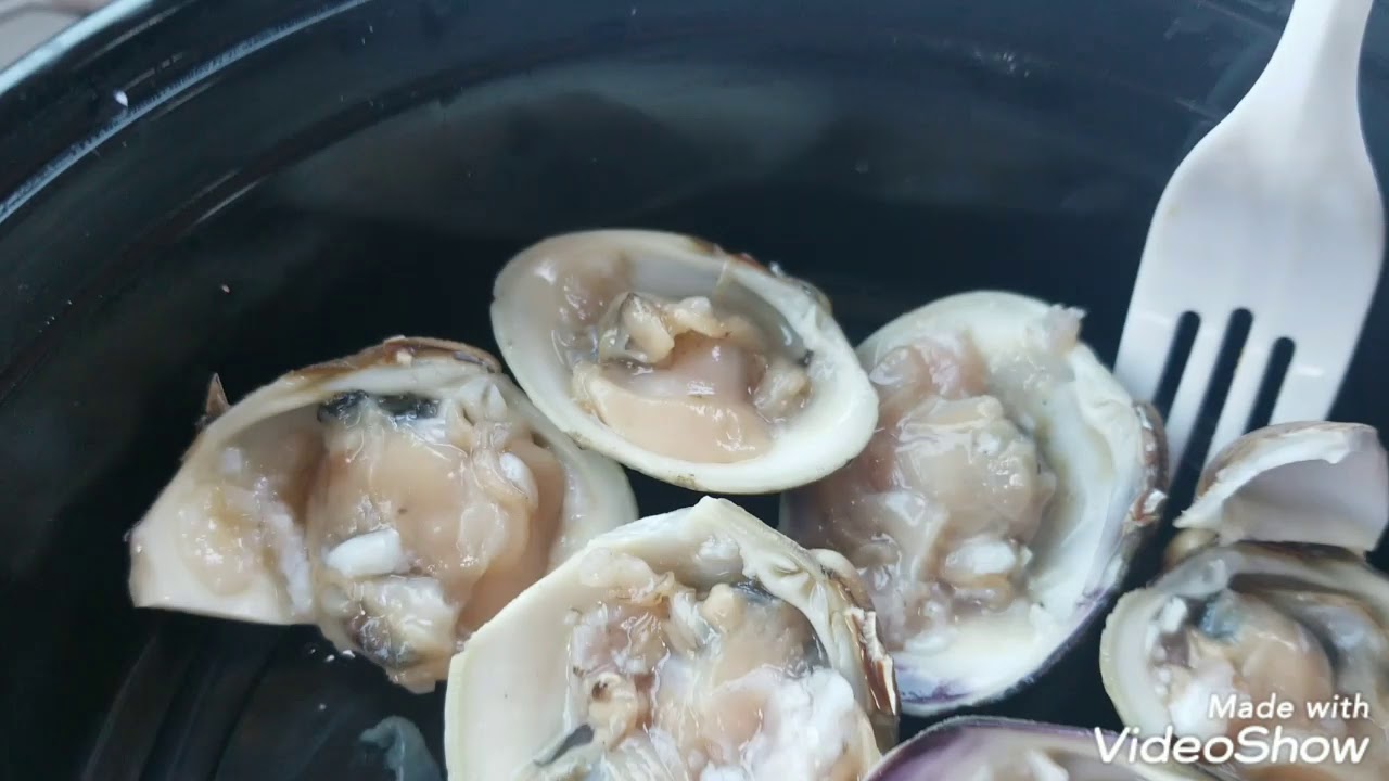 Eating Raw Clams From Eureka California YouTube