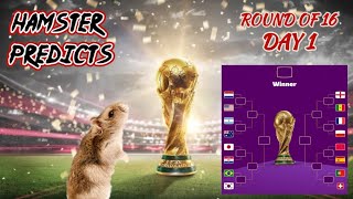 World Cup 2022 | Round of 16 Day 1 | Messi's last match? | Football tips by animal Jasper 🐹 by Have you seen my hamsters? 901 views 1 year ago 1 minute, 45 seconds