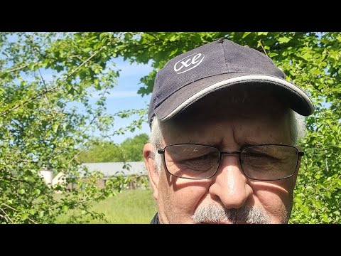 Aberkane Ahmed Officiel Est En Direct Aamam 