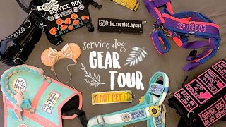 Service Dog Gear Tour! by TheServiceHyena 17,093 views 3 years ago 16 minutes