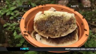 Good Indonesia - A Proud Story from Bantaeng