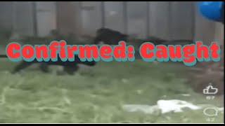 Confirmed: More Caught In Dayton Ohio