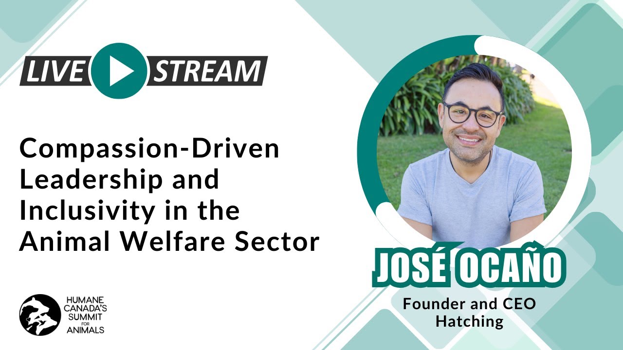 Compassion-Driven Leadership and Inclusivity in the Animal Welfare Sector