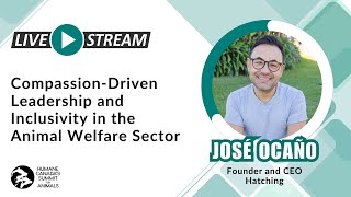 Compassion-Driven Leadership and Inclusivity in the Animal Welfare Sector