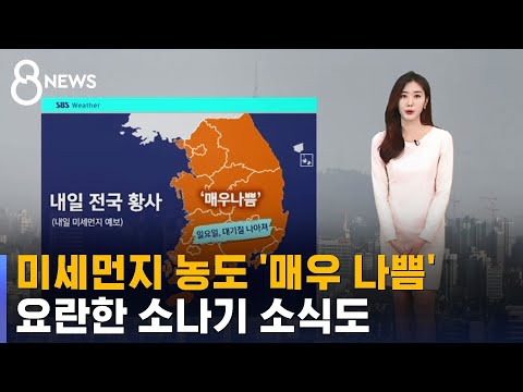 [날씨] 미세먼지에 소나기까지…외출 자제하세요 / SBS