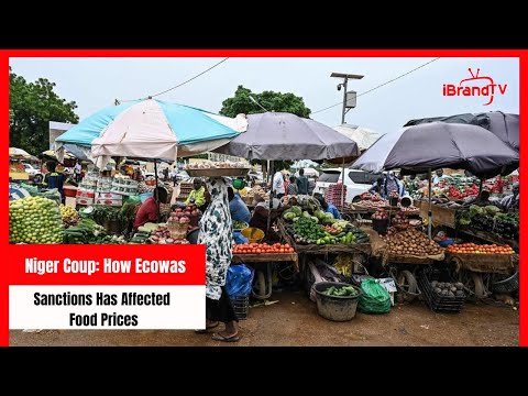 Niger Coup: How Ecowas Sanctions Has Affected Food Prices