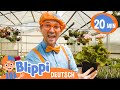 Blippi im Gewächshaus | Kinderlieder und Cartoons | Blippi | Moonbug Kids Deutsch