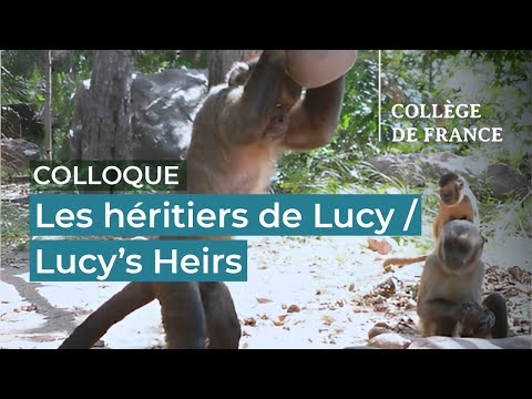 Les héritiers de Lucy / Lucy's Heirs (13) - Jean-Jacques Hublin (2022-2023)