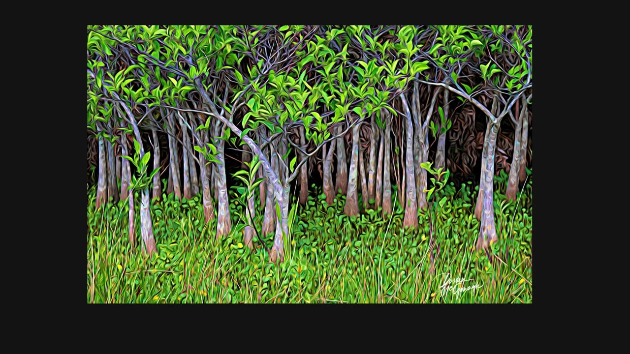 Discovering Wakodatchee Wetlands: A Paradise for Birdwatchers | Conservation & Avian Life