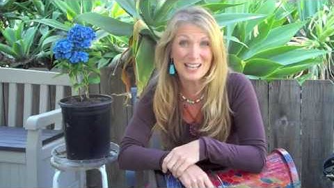 Drum Circle Facilitation 101 Intro