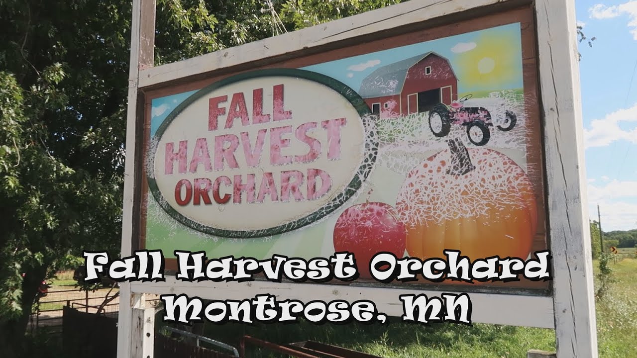 Fall Harvest Orchard, Montrose, MN