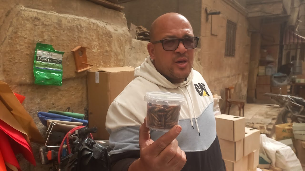 الجديد عند ياسر جمال وعروض على المكملات الغذائية والمستلزمات وكله بالاسعار💯💚⚘️الجمعة ١٣فبراير⚘️💚💯