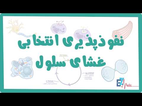 فیزیولوژی سلول (3) - نفوذپذیری انتخابی غشای سلول