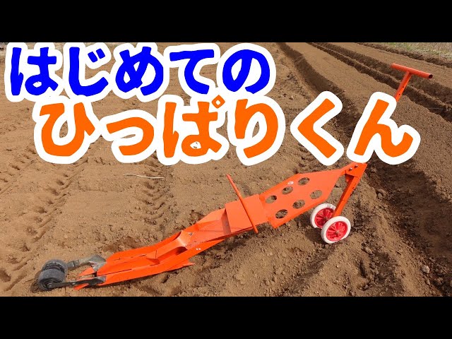 ひっぱりくんレビュー】簡易定植機ひっぱりくんHP-16 を初めて使って 