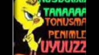 Birgun Gelir