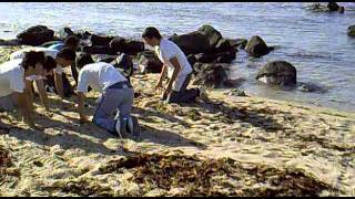 Praxe na Praia - Caloirada de Gestão ESTG Viana do Castelo