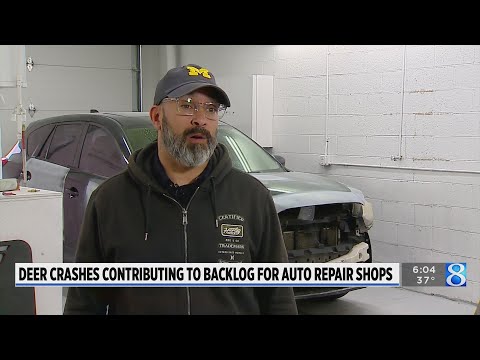 Autopro Automotive Service Deer Park
