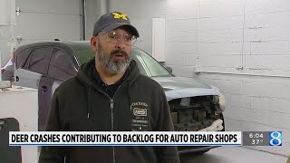 Yearly jump in car-deer crashes adds to repair logjams